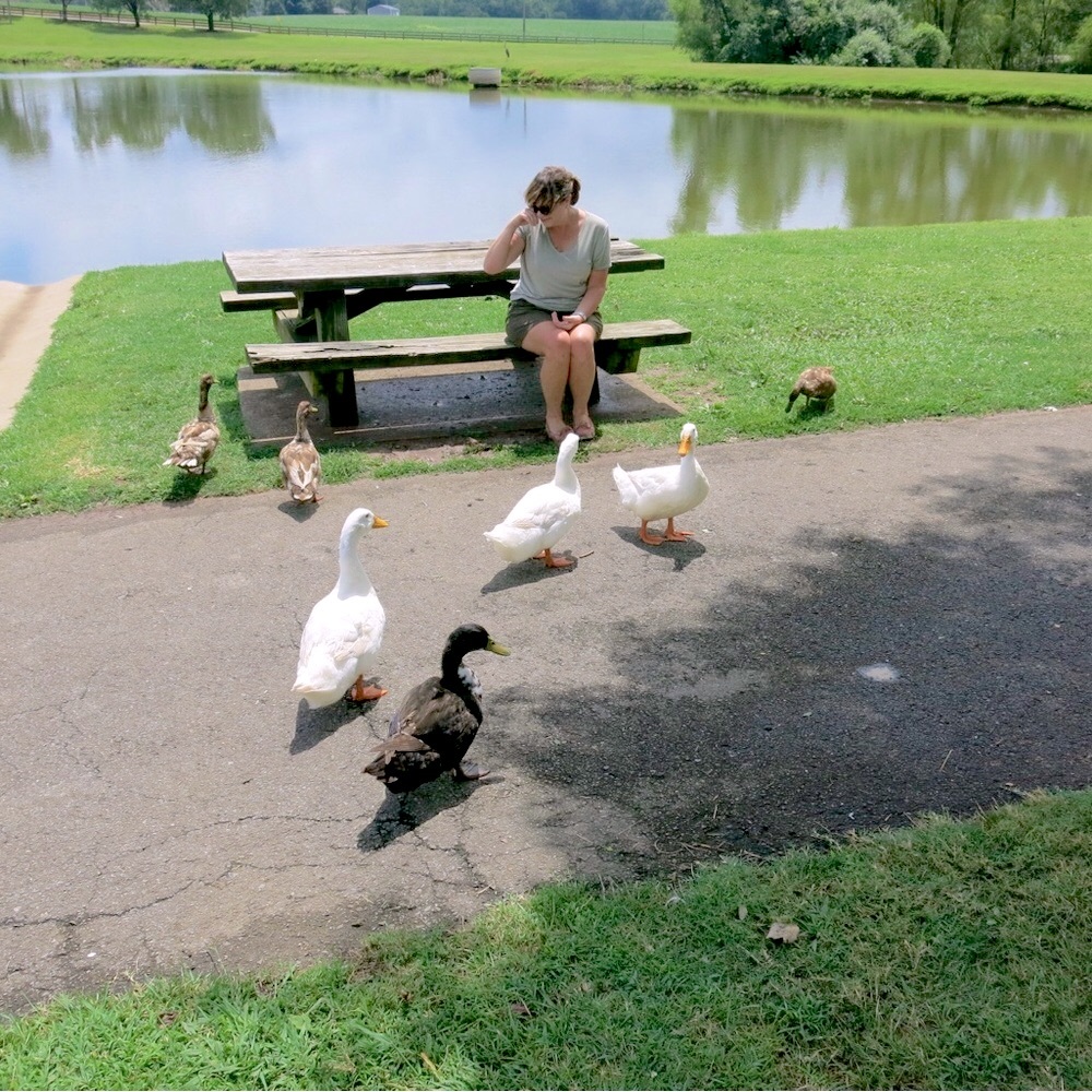 Meet your Posher, Cheryl